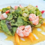 Shrimp-salad_citrus-mango-sauce600