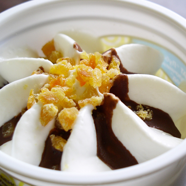 Coconut Frozen Yogurt