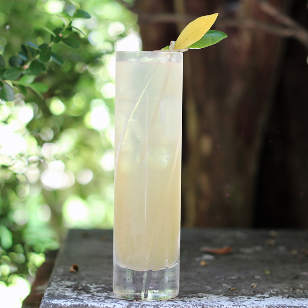 Jack be Nimble - The Perfect Puree of Napa Valley