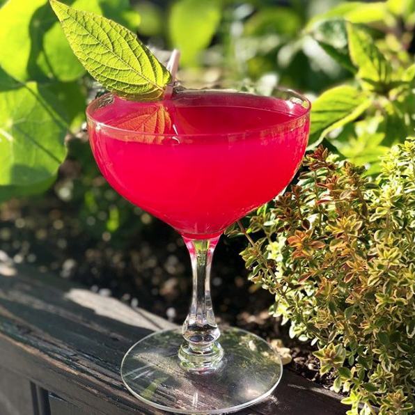 Instagram-Worthy Cocktail by Ryan Mulholland