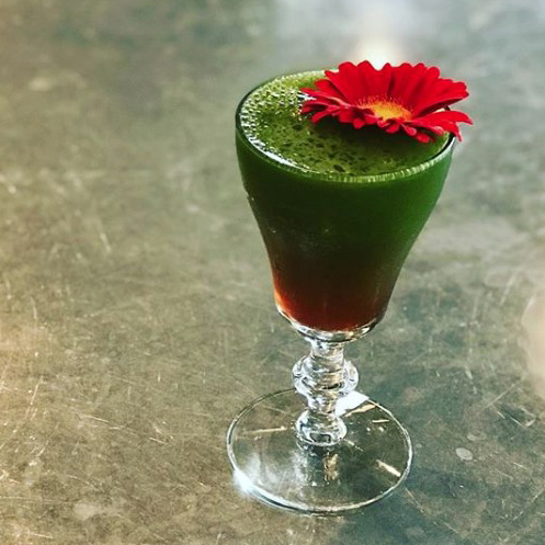 Where the Antelope Play - The Perfect Puree of Napa Valley