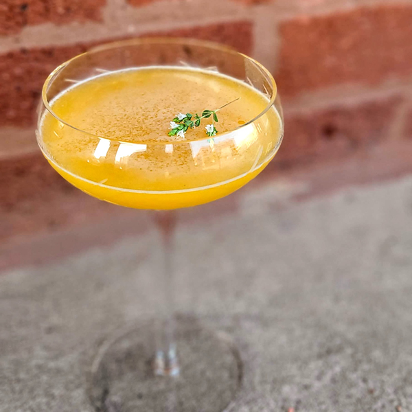 Vacation Buzz - The Perfect Puree of Napa Valley