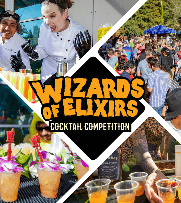 Recipes: Wizards of Elixirs 2022