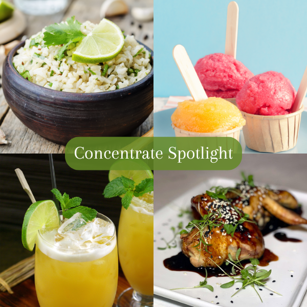 Concentrate Spotlight