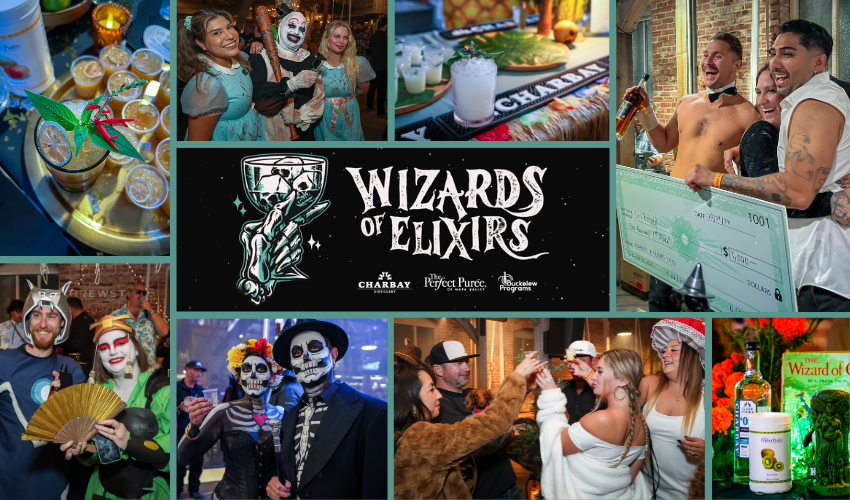 Recipes: Wizards of Elixirs 2024