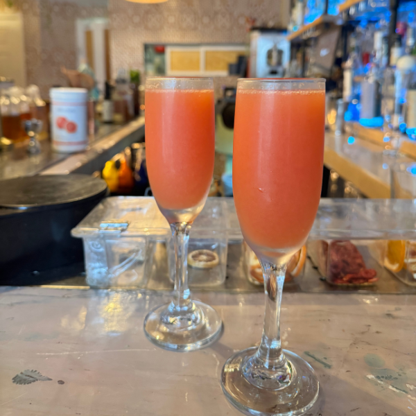 Mimosa Mexicana