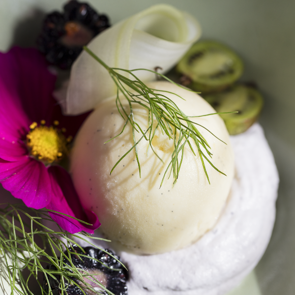 Roasted Corn Ice Cream with Blackberry Chantilly and Celery Curls