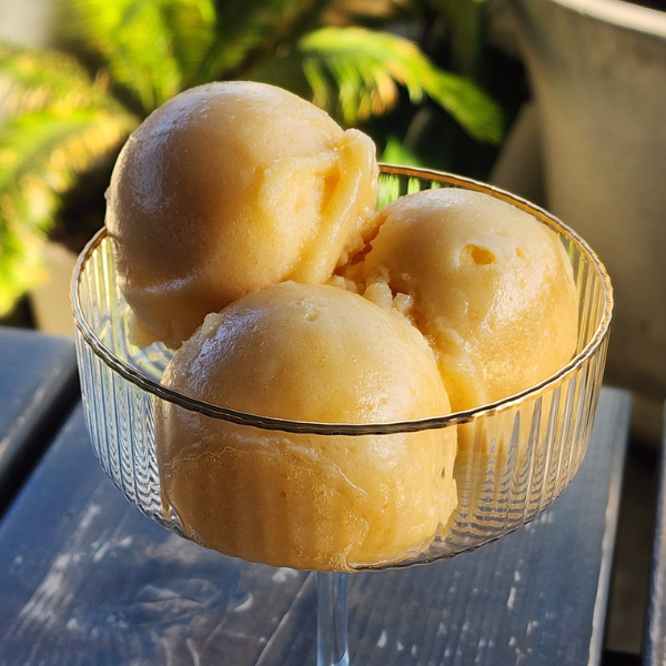 Grapefruit Honeysuckle Sorbet for Prosecco Float