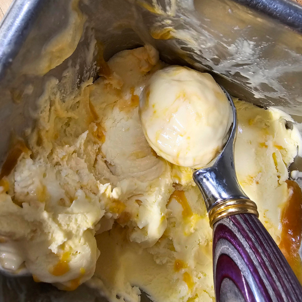 Apricot Noyaux Ice Cream